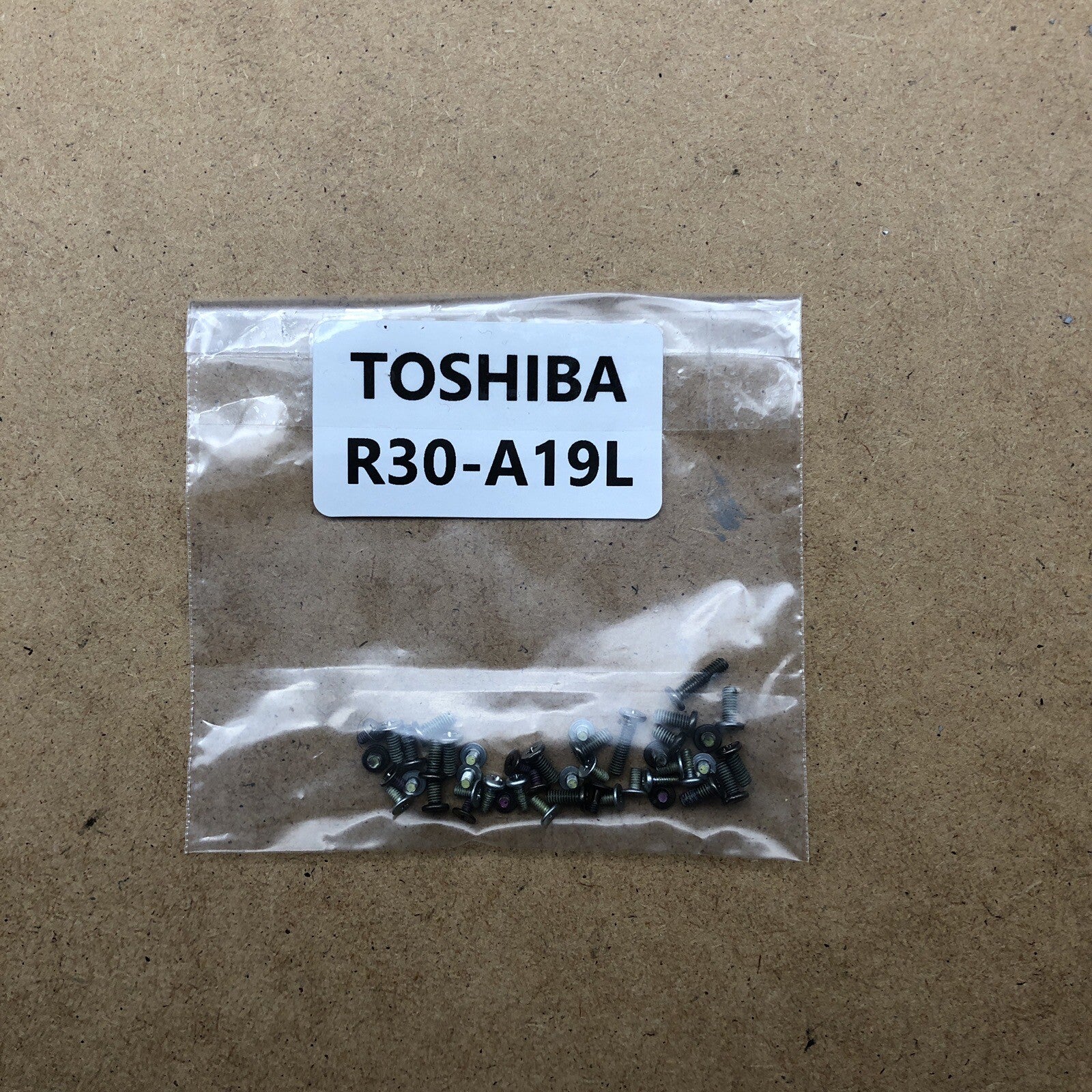 Visserie - Toshiba PORTEGE R30-A19L