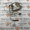 Nappe / connecteur écran + webcam - HP COMPAQ 6830S