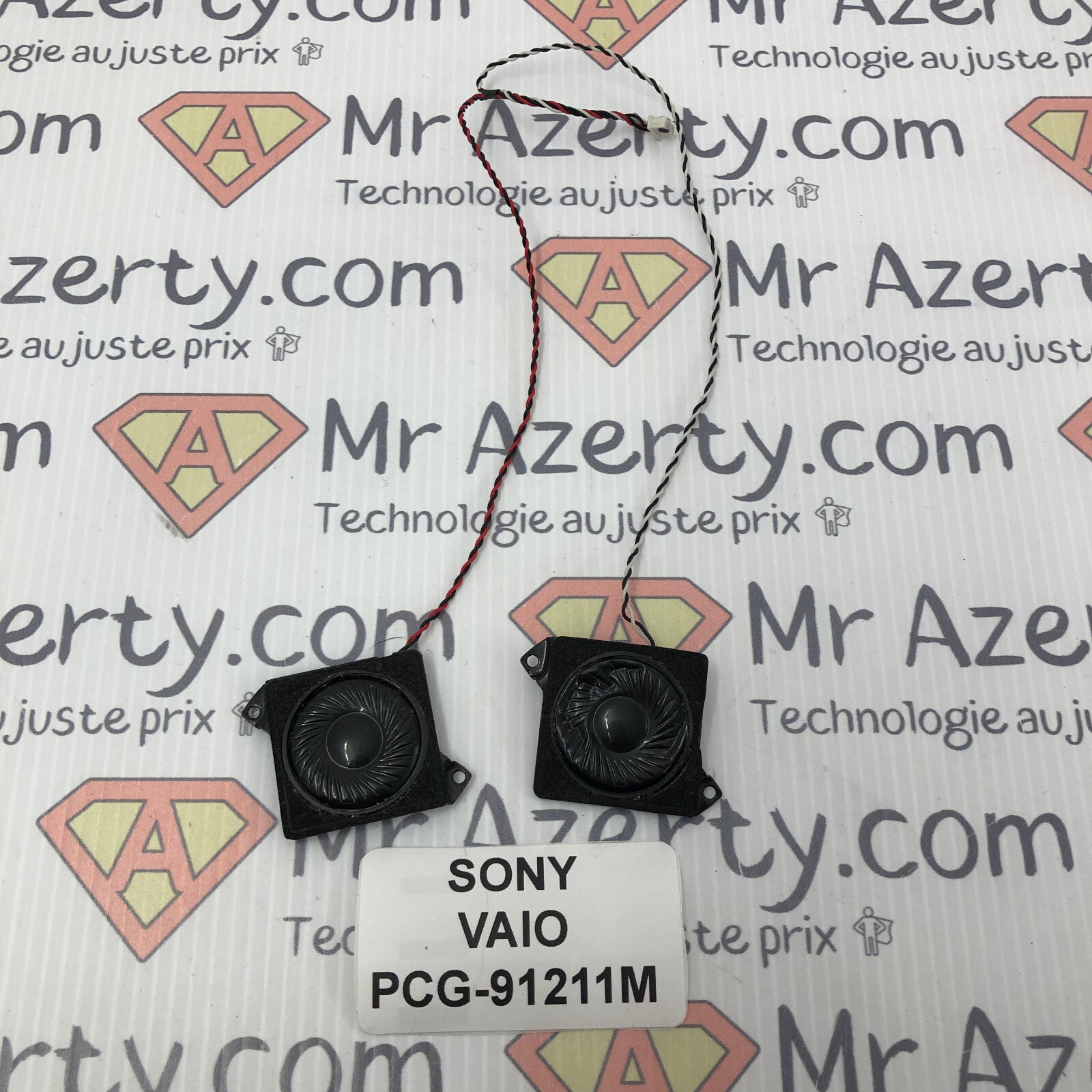 Enceintes - Sony VIAO PCG-91211M