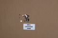 Visserie - Dell latitude 3500